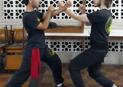 Centro Argetino de Kung Fu