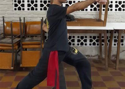 Centro Argetino de Kung Fu