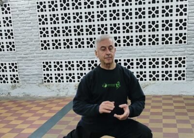 Centro Argetino de Kung Fu